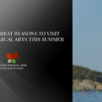 5 Reasons To Visit Wright Surgical Arts This Summer